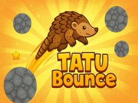 Turtle Drop Puzzle Challenge