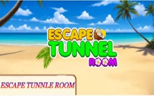 Underground Puzzle Escape Challenge
