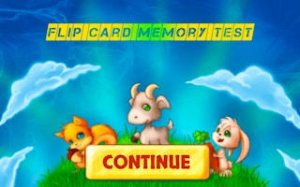 Picture Pair Recall Challenge