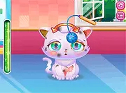 Kitty Care Companion