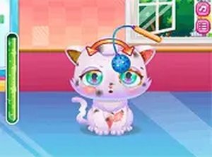 Kitty Care Companion