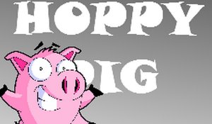 Hoppy Pig Jumping Game