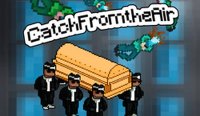 Sky Catch Arcade
